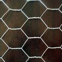 best quality Hexagonal Gabion Basket/Steel-plastic composite grille/Hot-dipped Galvanized hexagonal wire Net